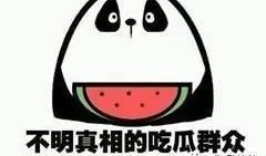 老子吃瓜不要钱,世间繁华尽收眼底