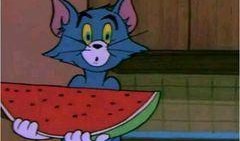 吃瓜斗图图片,揭秘网络社交新潮流