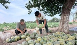 吃瓜四十年,见证娱乐圈风云变幻