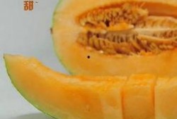 减肥后吃蜜瓜好吗,减肥后食用蜜瓜的适宜性探讨