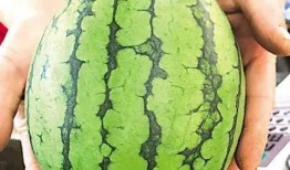 平度吃瓜群众事件