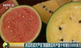 吃瓜群众等待结果下一句,结果揭晓在即！