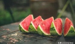 吃瓜小白白,吃瓜小白白的趣味食光之旅