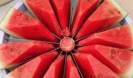 吃瓜比赛特效,吃瓜比赛特效燃爆眼球，趣味横生！