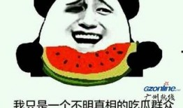 吃瓜群众需要解释,吃瓜群众必备的明星八卦全解析