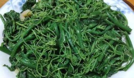 减肥吃佛手瓜文案