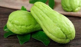 德运吃瓜,揭秘网红美食背后的故事