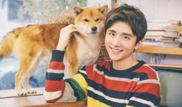 吃瓜鸭张新成,揭秘娱乐圈的“瓜王”传奇