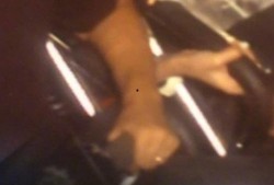 女生在楼上吃瓜