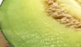 佛山营销吃瓜,吃瓜群众见证品牌崛起之路