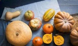 小雪吃瓜真假,揭秘真相与谣言的交织