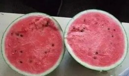 一瓜两吃的西瓜