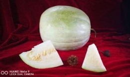 白瓜怎么吃才熟,白瓜快速熟透的简易食用方法