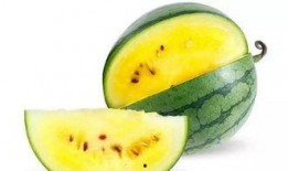 吃瓜吃瓜吃瓜就好,轻松看世界