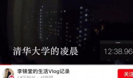 吃瓜跳舞vlog视频,趣味横生的美食与舞蹈之旅