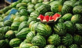 吃瓜网出售,热门瓜子的独家出售攻略