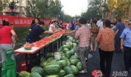 乌鲁木齐大火吃瓜,悲剧背后的真相与反思