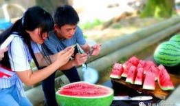 地里摘瓜的感觉吃瓜