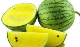 吃瓜读心满朝,揭秘满朝风云背后的真实故事