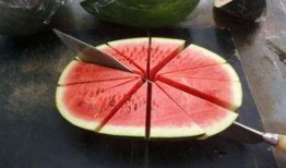 娱瓜吃瓜精,揭秘娱乐圈那些不为人知的幕后故事