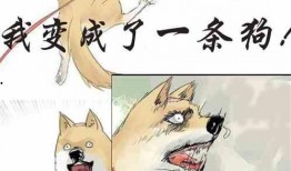 吃瓜到隔壁 小说,一场吃瓜引发的悬疑之旅