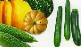 美玲吃瓜,揭秘娱乐圈幕后真相