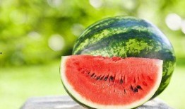 清晨吃瓜有什么好处,养生保健新选择