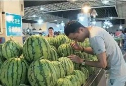 18楼吃瓜大妈,揭秘邻里八卦背后的温馨故事