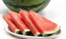 苏菲教你吃瓜群众,苏菲教你成为吃瓜群众的智慧指南