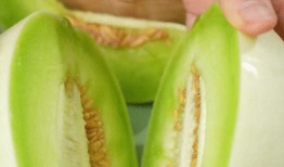 山东玉瓜怎么吃,解锁美味新体验