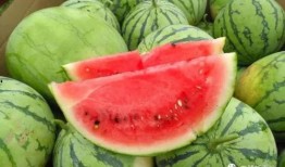 热点吃瓜今日黑料瓜小弟