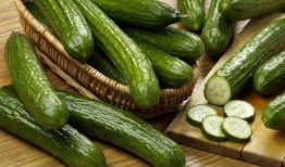 葫瓜不能和什么一起吃,揭秘不能与哪些食物同食