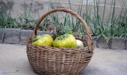 黔江吃瓜网,揭秘黔江美食背后的故事与风情