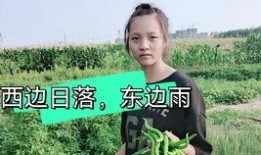 菜园吃瓜小诀窍,轻松掌握小诀窍