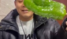 情侣网红拍吃瓜,情侣网红共享吃瓜乐趣