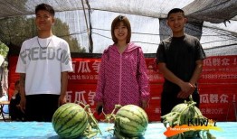 河北旗袍铺吃瓜,吃瓜群众眼中的时尚盛宴