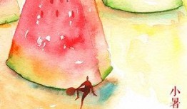 西瓜视频小暑吃瓜,夏日消暑必备美食攻略
