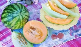 梦到自己吃瓜儿,瓜果飘香，味蕾之旅