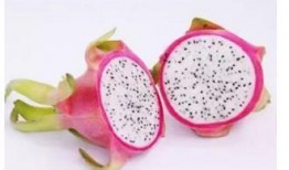 全国真实吃瓜群,揭秘网络社交的“瓜田”盛景