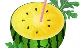 吃瓜王的头像,揭秘网络红人的瓜田传奇