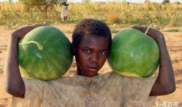 美国王佳仪吃瓜,揭秘娱乐圈的“吃瓜”传奇