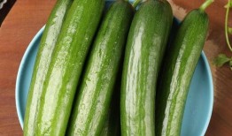 荷兰网红吃瓜视频,揭秘瓜界新潮流