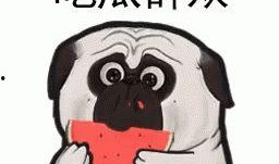 带你吃瓜 怎么拍,揭秘短视频拍摄技巧