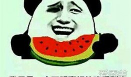 吃瓜群众专业吃瓜二十年