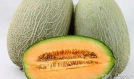 肺热吃哈密瓜