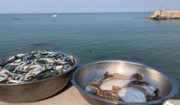 仙海吃瓜,揭秘仙界吃瓜风云