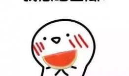 我是吃瓜小说,揭秘娱乐圈背后的秘密与真相