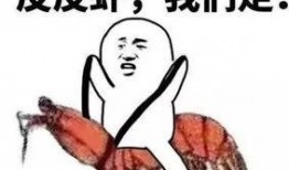 扣扣吃瓜套路,网络热议背后的真相与反思