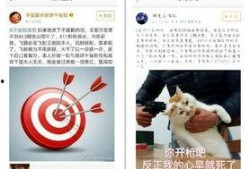 精神股东吃瓜会,吃瓜群众的狂欢与投资界的隐忧