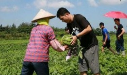 唐庄镇最近吃瓜视频